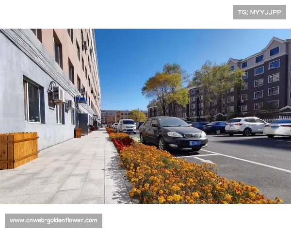 郑州体育馆改造老旧小区，办赛惠民双赢